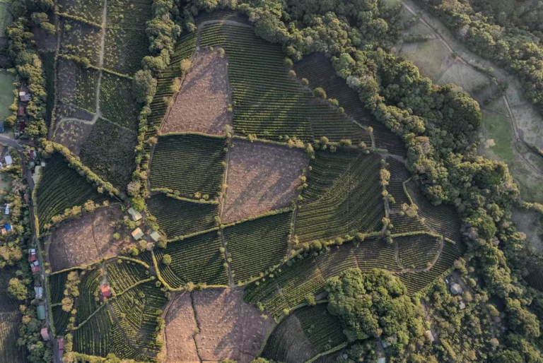 Case: Uitbreiding van je landbouwbedrijf naar Frankrijk